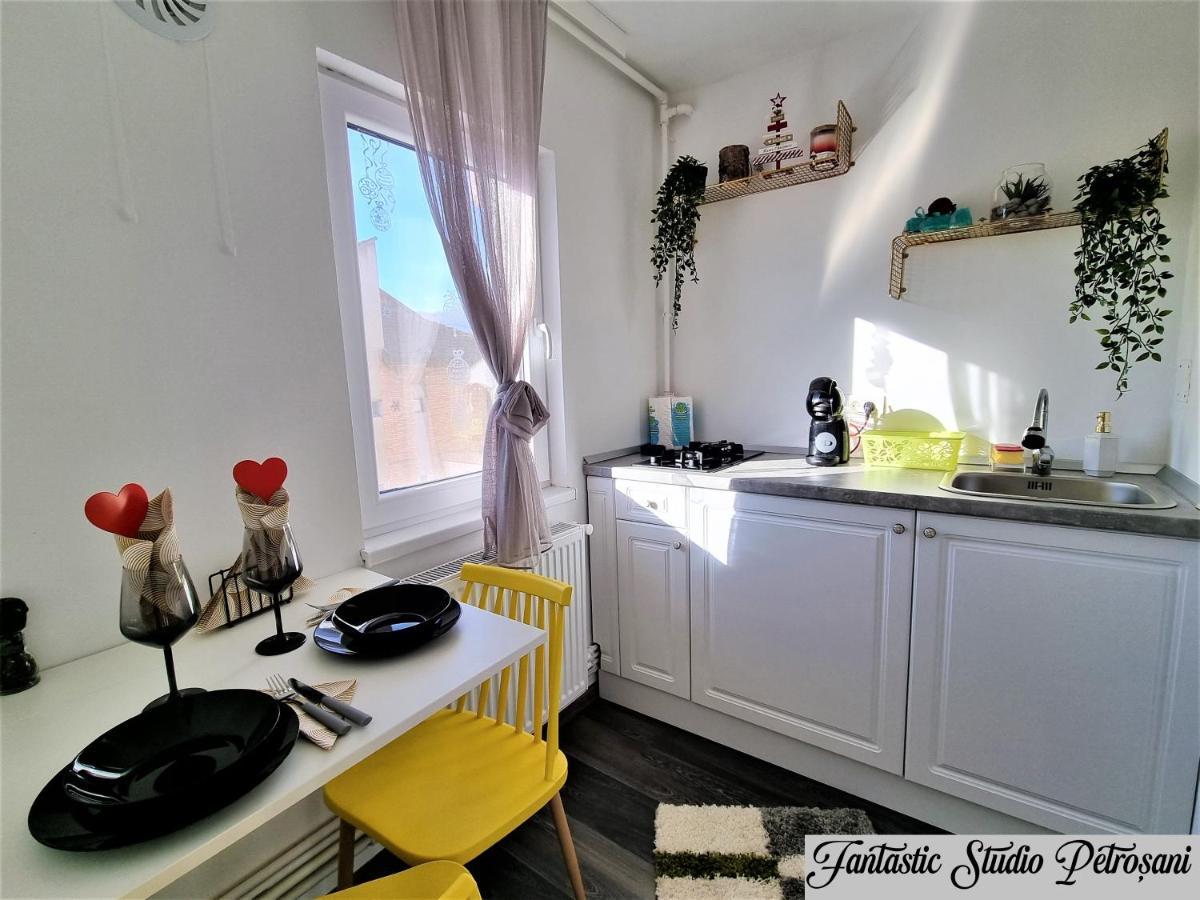 ~Fantastic Studio Petrosani~ Apartment Exterior photo