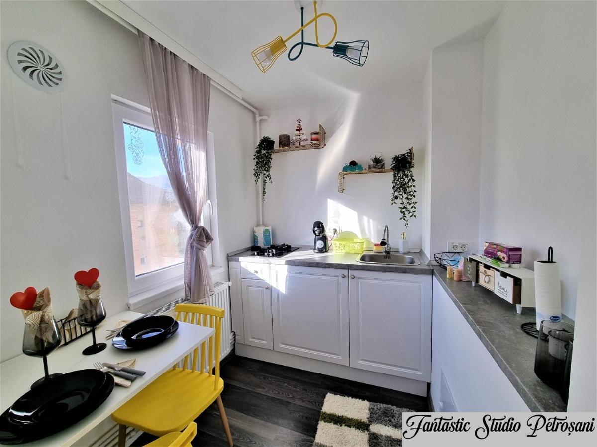 ~Fantastic Studio Petrosani~ Apartment Exterior photo