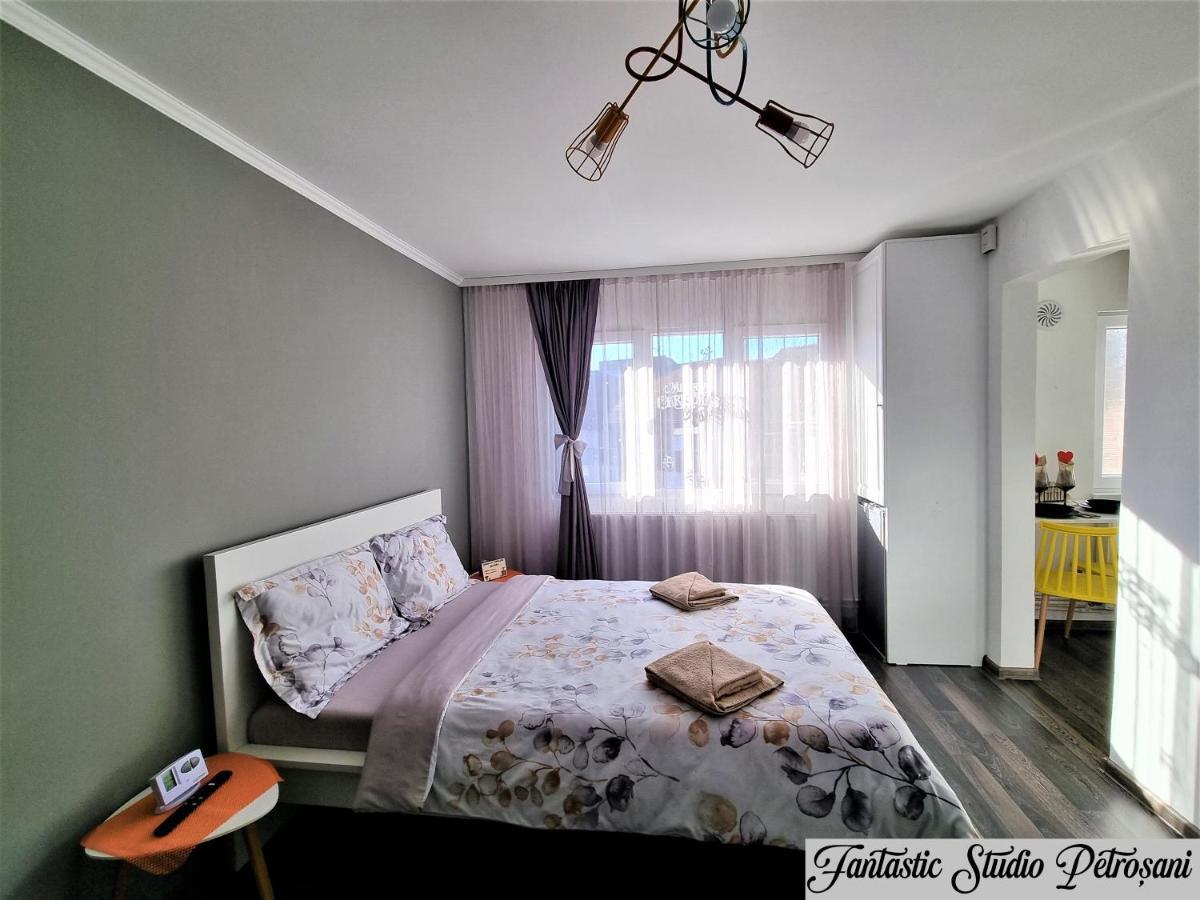 ~Fantastic Studio Petrosani~ Apartment Exterior photo